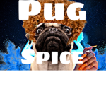 Puggod developers