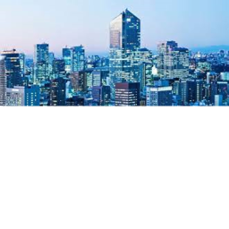 The city