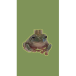 Frog Communtiy