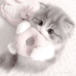 mochii :>