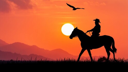 WILD WEST SIMULATOR