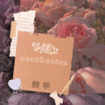 " val's aesthetics