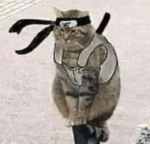 9 live Group Thumbnail