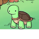 Turtle Inc