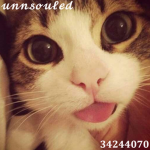 unnsouled
