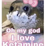 Seal Empire
