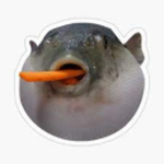 Pufferfish's bank