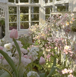 flwrgarden
