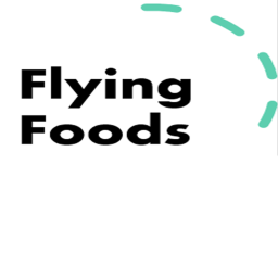 Flying Foods 🎄Christmas!🎄