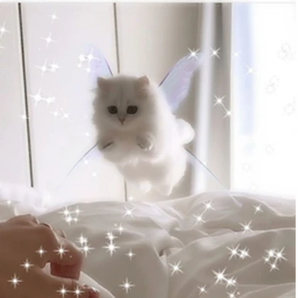 Cat play time Roblox group icon