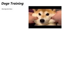 Doge Training