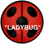 Completed Miraculous Ladybug Quiz!
