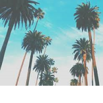 cloudy_squadd