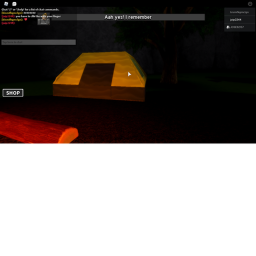 simulator