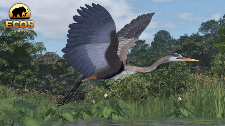 Great Blue Update