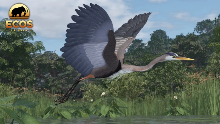Great Blue Update