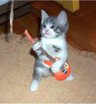 cat's guitar industry