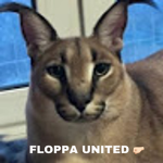 Floppa United Fan Group