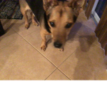 Bugsy