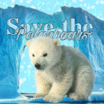 Save polar bears!!