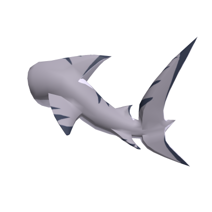 Tiger Shark Tail