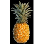 The Pineapple creations