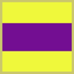 (CGC) Confederate Guardsmen Corps