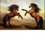 Liberty Horse Academy