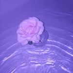 Amethyst Angel