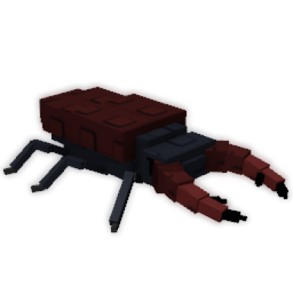 Stag Beetle