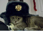 kina<3