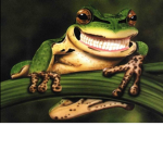 Frogs And People