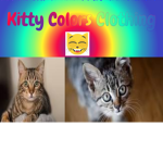 kitty colors