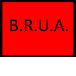 The Baton Rouge Underground Association