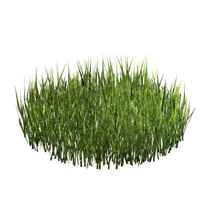 🍃 Realistic Grass Chill Meetup Cafe RP Environm