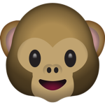 Monkey a la Chill