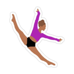 All Stars Gymastics Team