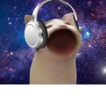 PopCat Studio's