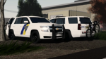 Backwood PD group