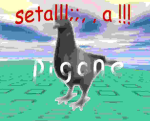 setal a cafianted pigeomn gropuop