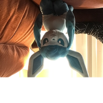Everyone loves Pokémon