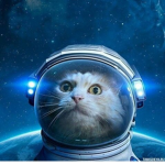 #Cosmocats