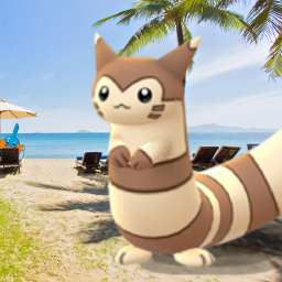 Furret Hangout