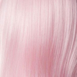 🌸