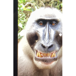 Monkey fans.