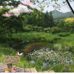 .FairyField