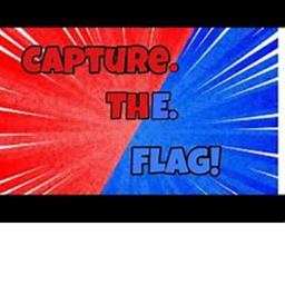 CAPTURE THE FLAG!!!!