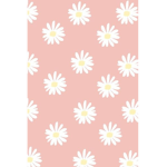 ~ daisy’s ~