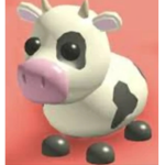 Cows are the best group