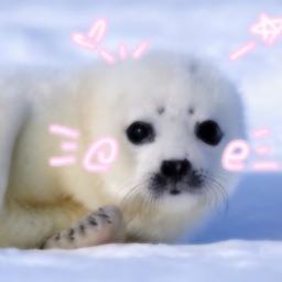 (̨̡,,•꒳•,,)̧̢